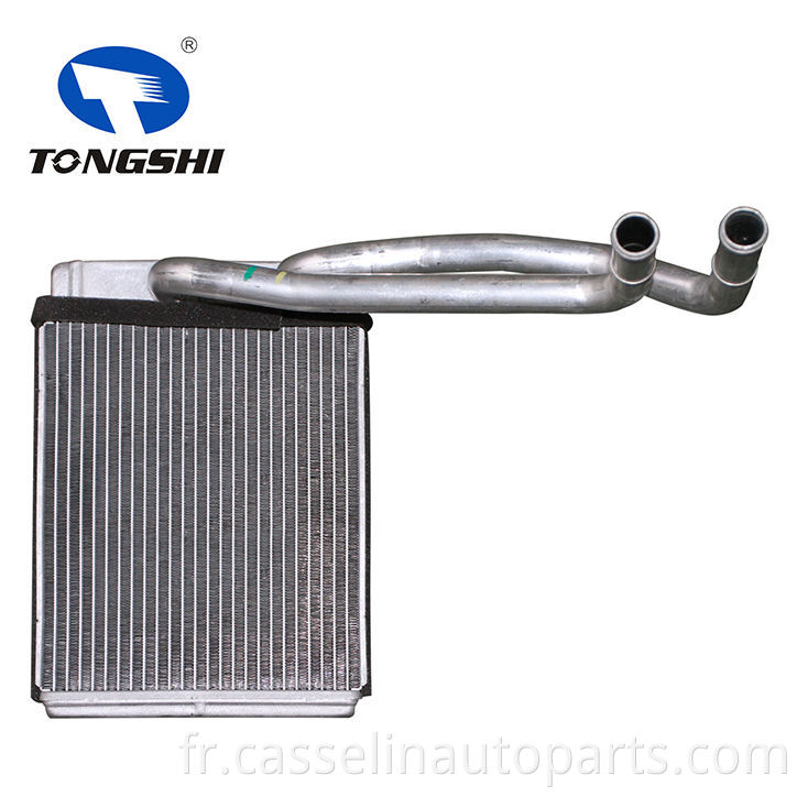 Radiateur Core Core Core pour Hyundai Terracan (01-) 2,9 CRDI OEM 97010-H1729